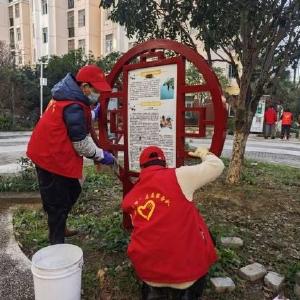 邻里同心齐上阵 志愿同行美家园——园林社区清洁活动绘就文明廉洁新图景