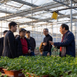 菜夫人企业管理有限公司携手KOTRA共促农业创新合作