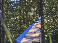 杉林中的建筑为何被世界看见？