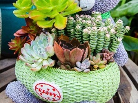 东西湖遛弯儿好地方，藏在这里！