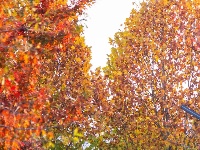 东西湖绝美小路，喊你出片！