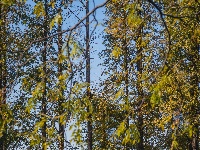 您向往的生活 东西湖都安排好了