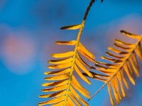 东西湖这个公园很“红”🔴