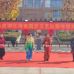 吴家山街怡景社区开展新年联欢会