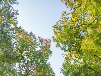 您向往的生活 东西湖都安排好了