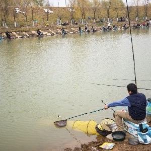 2025年武汉市垂钓精英挑战赛在我区举行