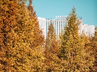 东西湖这个公园很“红”🔴