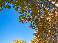 您向往的生活 东西湖都安排好了