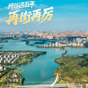 金银湖街：五年锚定“硬核”产业 锻造区域经济新引擎