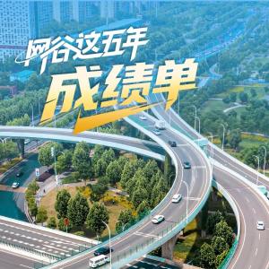 条条快线通汉口，谁说东西湖是远城区？！