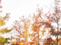 东西湖绝美小路，喊你出片！