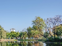 您向往的生活 东西湖都安排好了