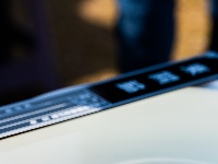 全国顶尖“鱼”，游进东西湖了