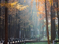 东西湖冬日最美公园，是它吗？