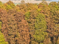 冬季最浓烈的一笔，就藏在这里