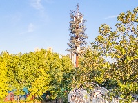 您向往的生活 东西湖都安排好了