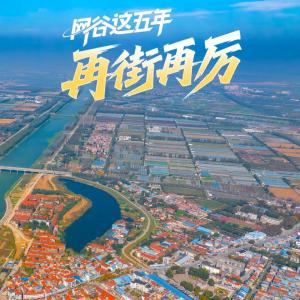 新沟镇街：五年奋进铸辉煌 交出产城融合“硬核答卷”