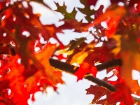 东西湖绝美小路，喊你出片！