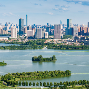 五年蝶变！东西湖请人民阅卷！