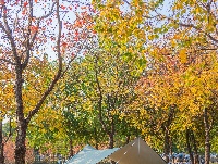 您向往的生活 东西湖都安排好了