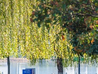 您向往的生活 东西湖都安排好了