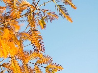 东西湖这个公园很“红”🔴