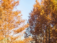 东西湖这个公园很“红”🔴