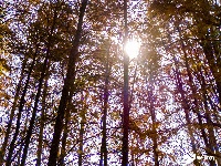 冬季最浓烈的一笔，就藏在这里