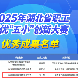 东西湖区职工“五小”成果入选全省百优名单！