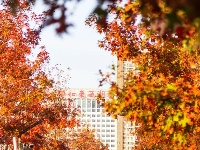 东西湖绝美小路，喊你出片！