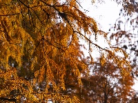 冬季最浓烈的一笔，就藏在这里