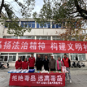 径河街十字路社区：凝聚法治共识 共建平安家园 举办国家宪法日联合普法活动