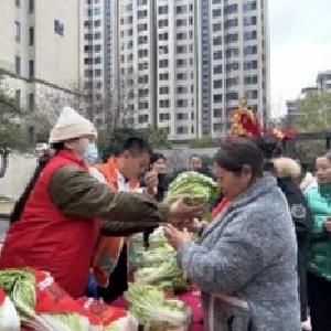 将军路街道：马池墩社区联合举办“情暖冬至，‘蔬’送安康”主题活动