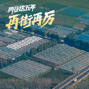 辛安渡街：“辛”勤奋斗 “安”居乐业 迈向“美丽生态富裕”新未来