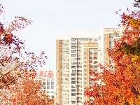 东西湖绝美小路，喊你出片！