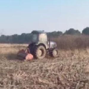 农业公司开展强化辖区土地管理专项工作