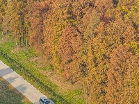 冬季最浓烈的一笔，就藏在这里