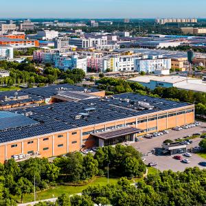 走马岭：一“马”当先立潮头 奋楫扬帆启新程