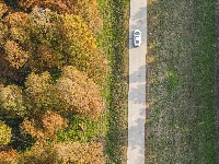 冬季最浓烈的一笔，就藏在这里