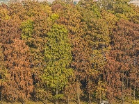 冬季最浓烈的一笔，就藏在这里