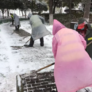 区住房和城市更新局公园管理处积极应对本次雨雪天气