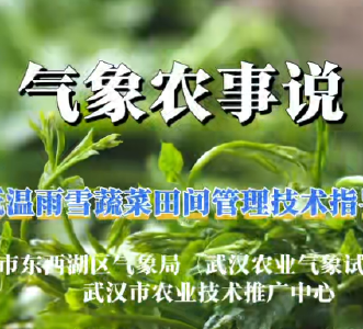 《气象农事说》低温雨雪蔬菜田间管理技术指导