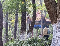 爬了这座山，爱上了5个亭子！