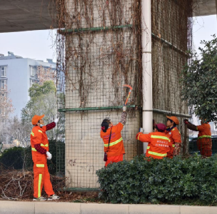 桥墩“剃须”焕新颜，机场二高速桥下空间展清爽风貌