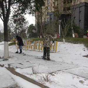 东西湖区园林部门全力迎战雨雪降温天气