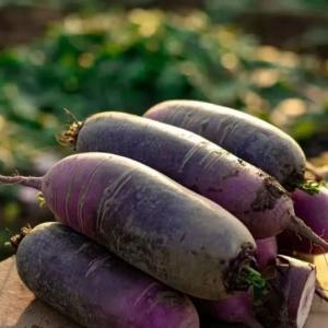 东西湖“水果萝卜”火了！