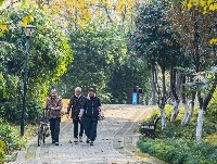 爬了这座山，爱上了5个亭子！