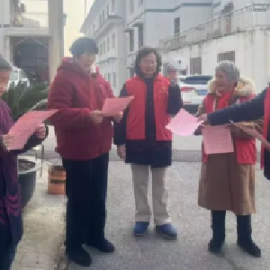 天鹅湖社区“红马甲”志愿服务队守护冬季安全