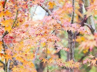 爬了这座山，爱上了5个亭子！