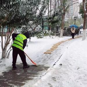 迎寒潮强保障，看绿化一线怎么做？